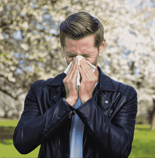 CPAP and Allergies: A Survival Guide - CPAP Direct
