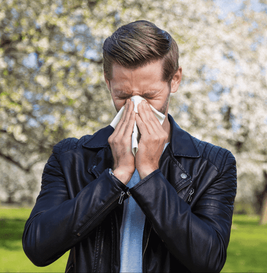 CPAP and Allergies: A Survival Guide - CPAP Direct