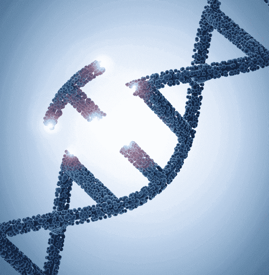 Does sleep apnea run in my family? Here is everything you need to know - CPAP Direct